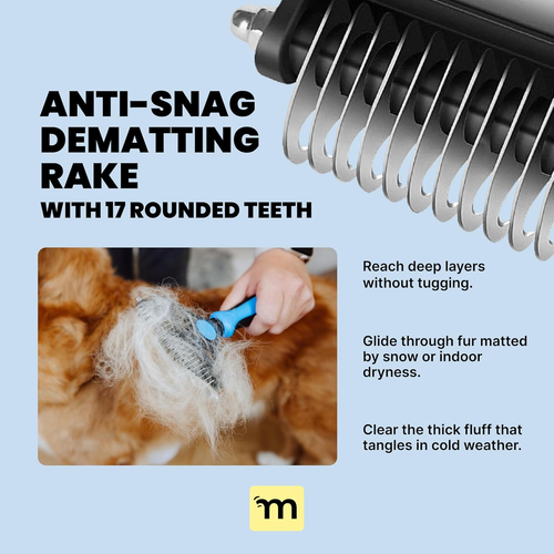 2-in-1 Deshedding Dog Brush (Large, Blue)
