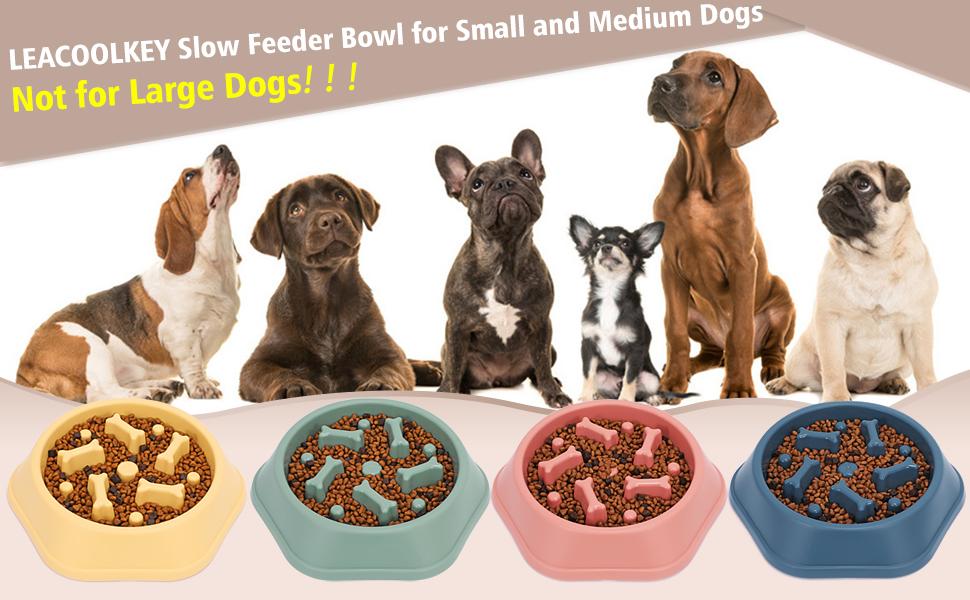 Slow Feeder Dog Bowl (12 oz)