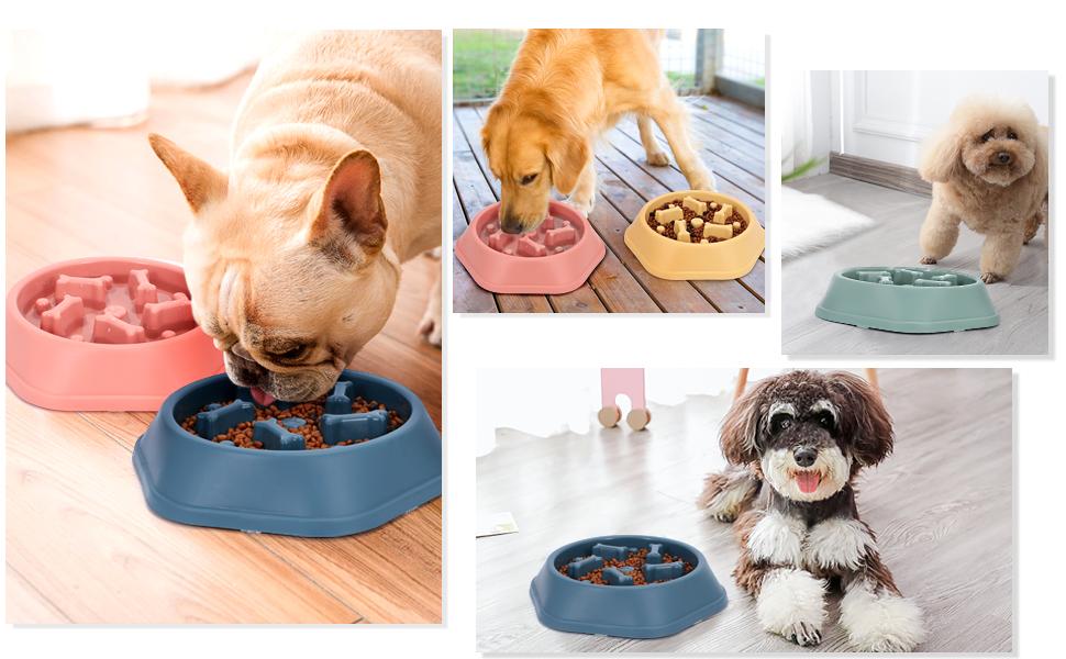Slow Feeder Dog Bowl (12 oz)
