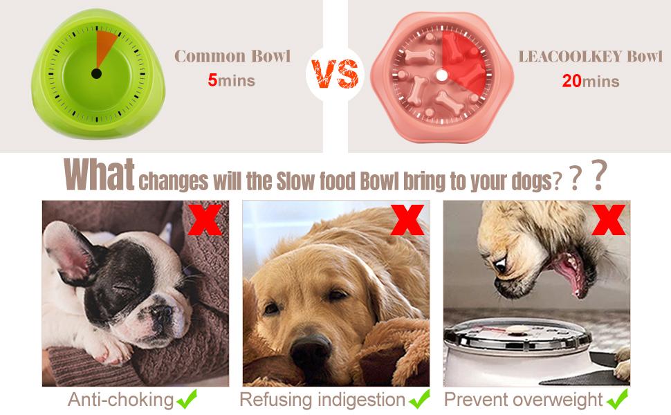 Slow Feeder Dog Bowl (12 oz)