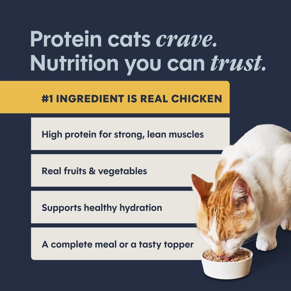 Original Grain Free Real Chicken Recipe Natural Wet Canned Cat Food, 5.5 Ounce (Pack of 12)