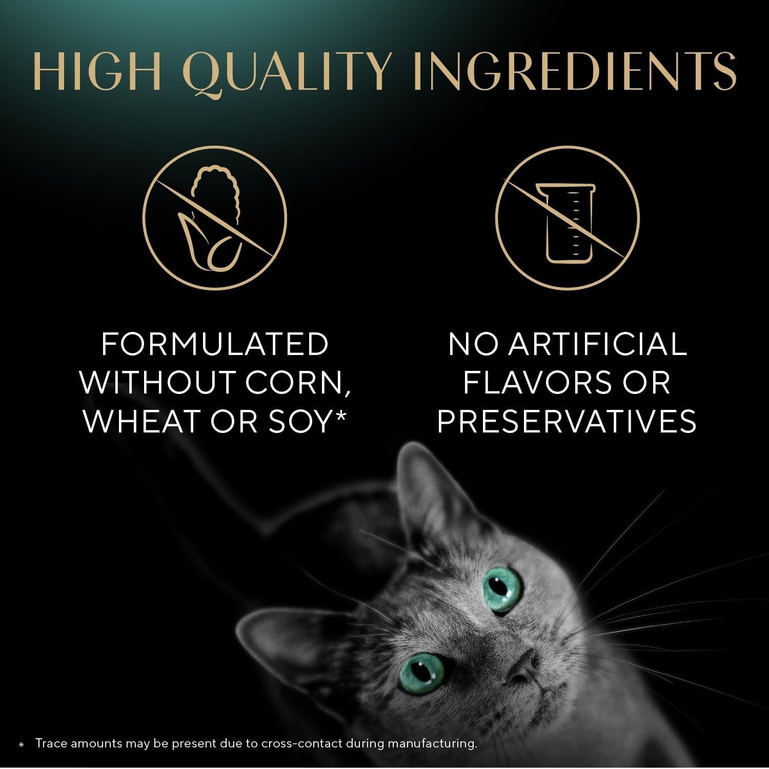 Meaty Tender Sticks Chicken Cat Treats, Salmon Flavor, Cat Snacks, 0.14 Oz., 5 Count, Pack of 10 (50 Sticks Total)