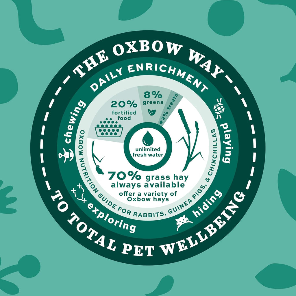 Western Timothy Hay, Guinea Pig Hay, Small Pet Bunny Supplies, All Natural Grass for Guinea Pig, Bunny, Chinchilla & Hamster,  Rabbit Supplies for Bunnies, 90 Oz. Bag