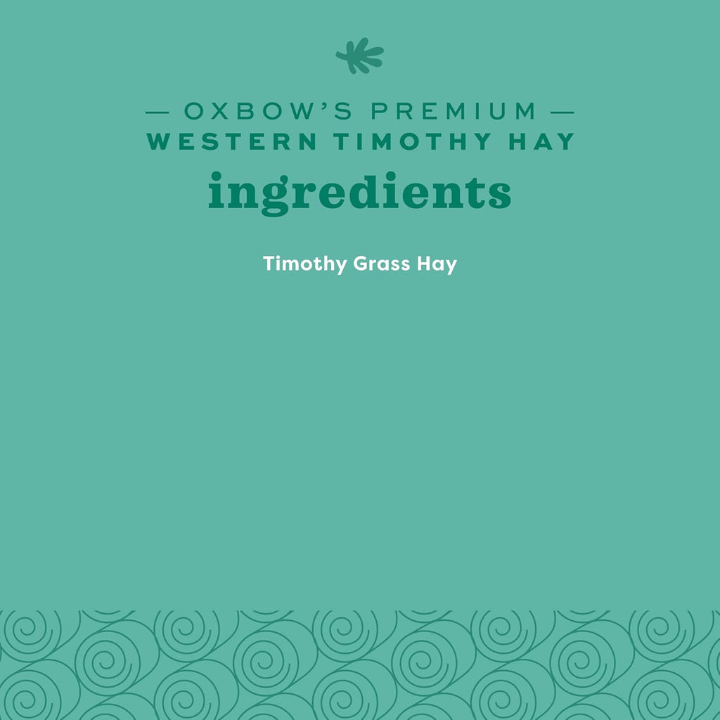 Western Timothy Hay, Guinea Pig Hay, Small Pet Bunny Supplies, All Natural Grass for Guinea Pig, Bunny, Chinchilla & Hamster,  Rabbit Supplies for Bunnies, 90 Oz. Bag